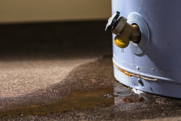Best Fire Damage Restoration  in Shannondale, WV