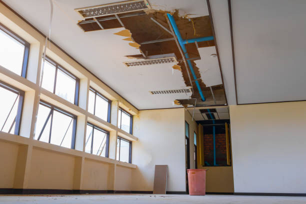 Best Flooded house restoration  in Shannondale, WV