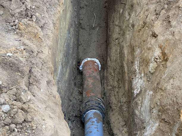 Best Sewage cleanup and water damage restoration  in Shannondale, WV