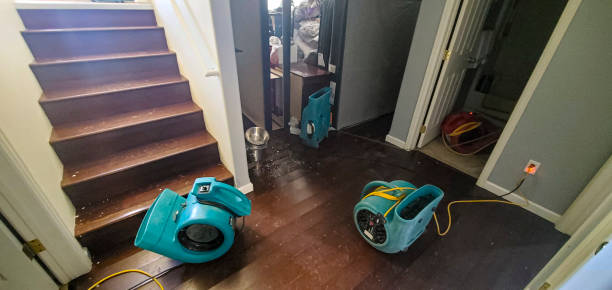  Shannondale, WV Water damage restoration Pros