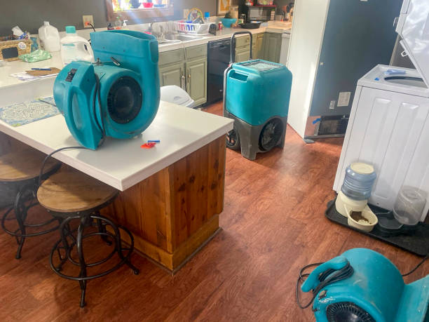 Water damage restoration experts in Shannondale, WV