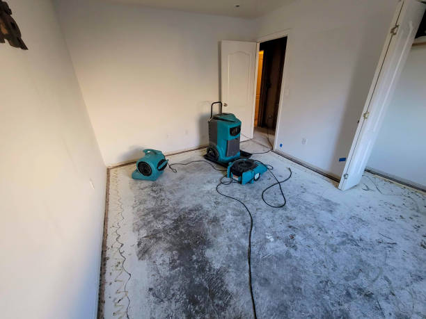 Best Flood restoration services  in Shannondale, WV