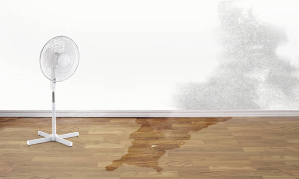 Best Flood restoration services  in Shannondale, WV