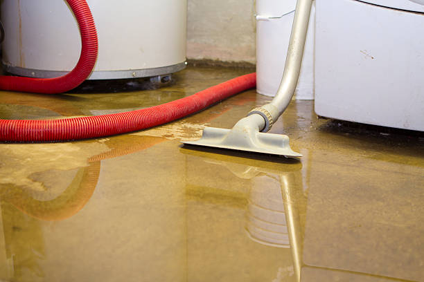 Best Water damage restoration experts  in Shannondale, WV