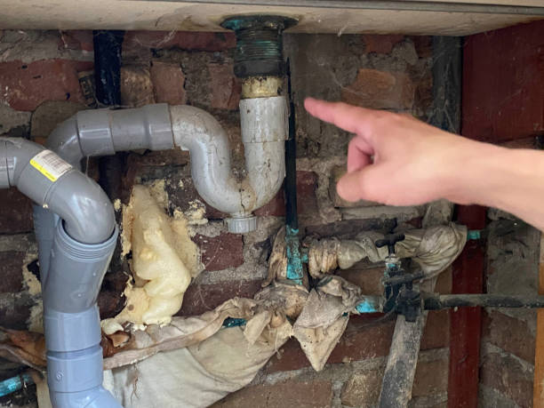 Best Basement water damage restoration  in Shannondale, WV