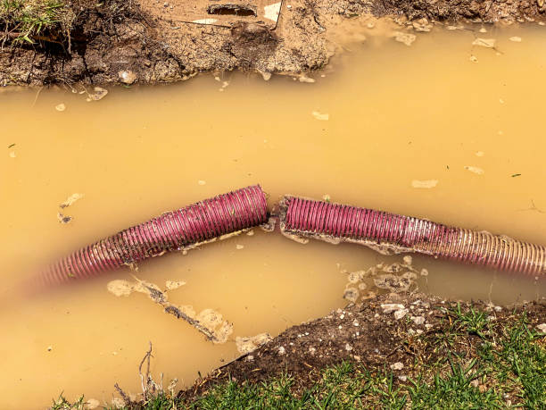 Water damage restoration mold remediation in Shannondale, WV