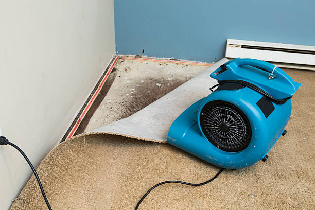 Local water damage restoration in Shannondale, WV